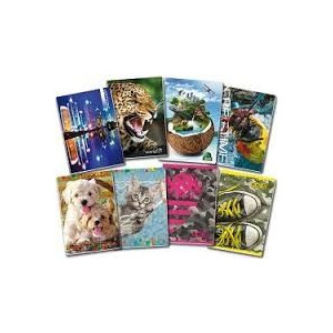 Maxi quaderno fantasia - rigo B 40fg / 80pg con frontespizio