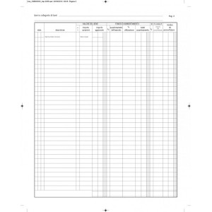 Registro Beni Ammortizzabili 45pg numerate
