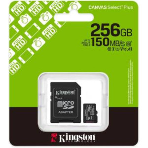 Scheda SD 256gb Kingston