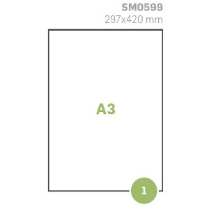 Etichette su A3 A3 100fg