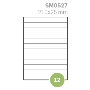 Etichette su A4 210X25 100fg 12 etichette a foglio