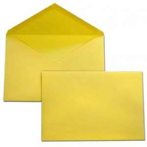 Buste gialle 23x32 in cf da 25pz