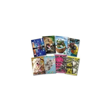 Maxi quaderno fantasia- rigo 1RC(4-5 elementare) 40fg / 80pg con frontespizio -
