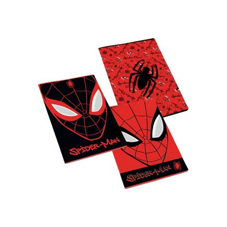 Maxi quaderno Spiderman rig.C (rigo 4-5 elmentare) GR.100  FF.24+1