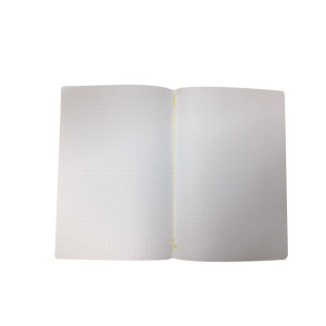 Notebook PUNTINATO Natomi iridescente 20fg A5