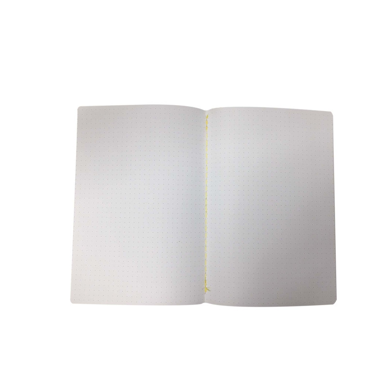Notebook PUNTINATO Natomi iridescente 20fg A5